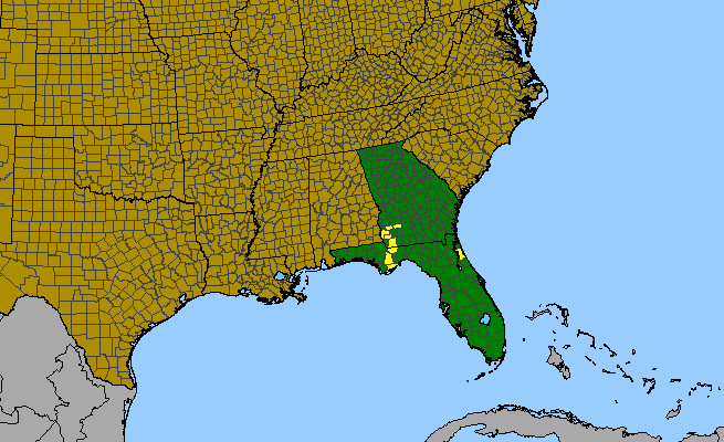 The range of Lythrum curtissii